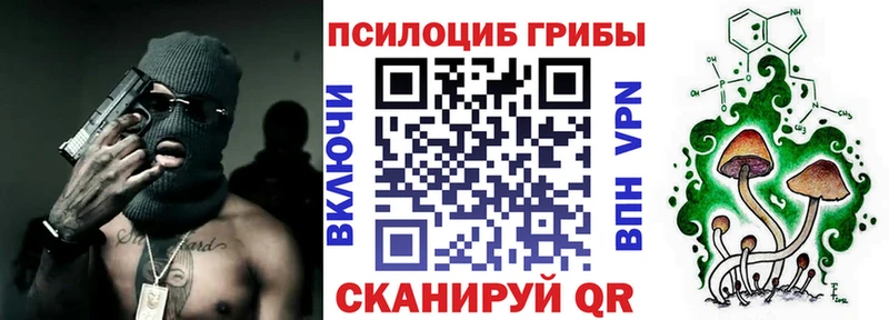 купить  цена  Питкяранта  Псилоцибиновые грибы прущие грибы 